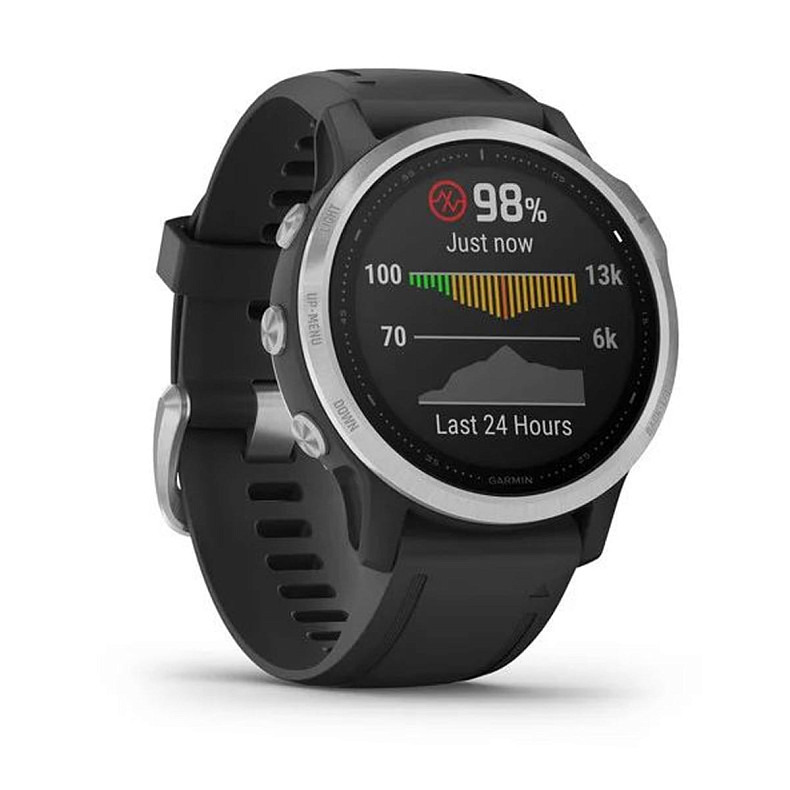 Мультиспортивные часы GARMIN Fenix 6S Silver with Black Band