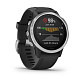 Мультиспортивные часы GARMIN Fenix 6S Silver with Black Band