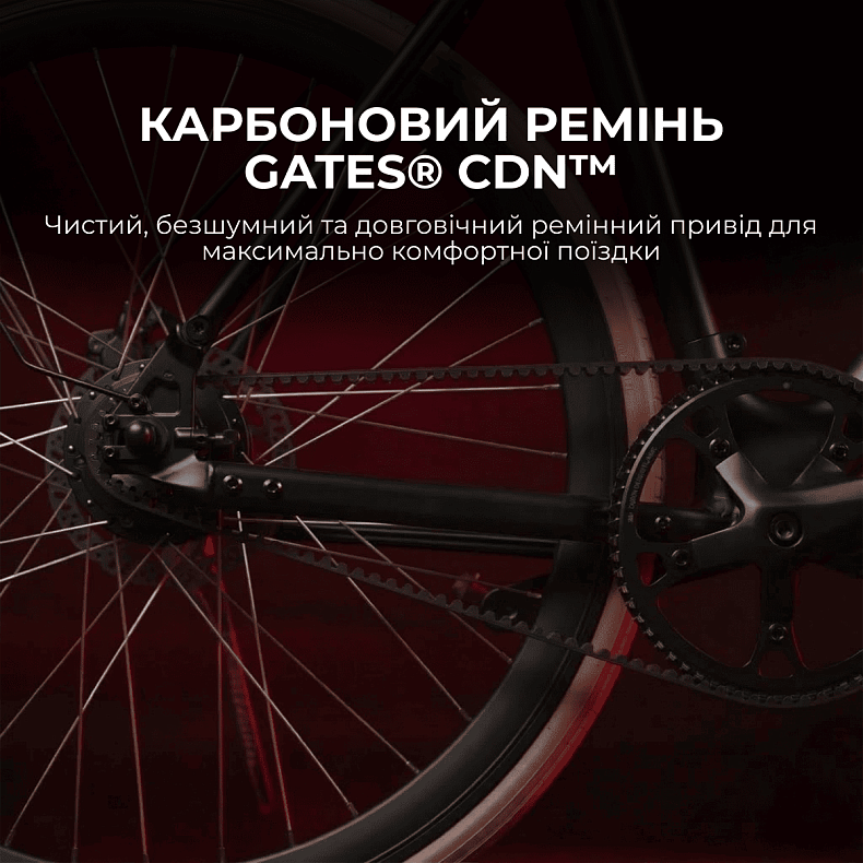 Електровелосипед Sharp 21" Black Matt (BK-RS08E-B)