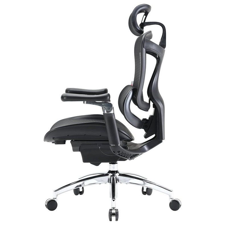 Крісло офісне Sihoo DORO C300 Pro Mesh Black