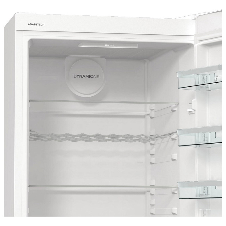 Холодильник Gorenje R619EAW6