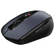 Мышка Acer OMR060 WL Black (ZL.MCEEE.00C)