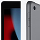 Планшет Apple A2602 iPad 10.2 (2021) Wi-Fi 64GB Space Gray