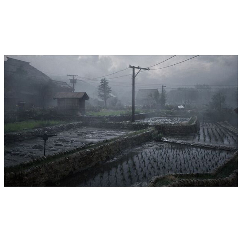 Игра консольная PS5 Silent Hill f