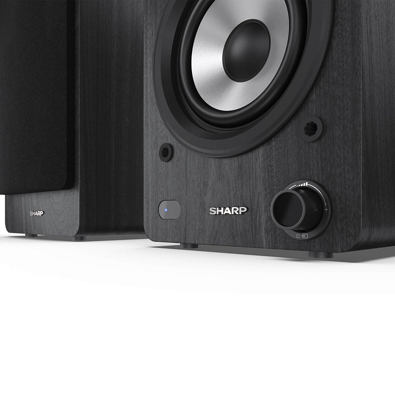 Акустические колонки Sharp CP-SS30 Black