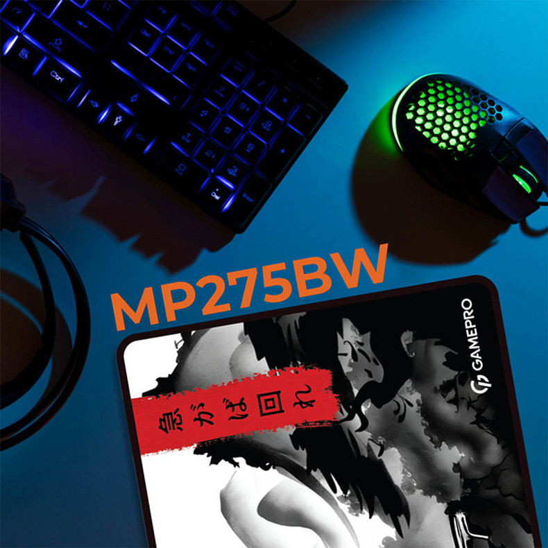 Коврик для мышки GamePro (MP275BW)