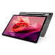 Планшет Lenovo Tab P12 TB370FU 8/128GB Storm Grey + Pen (ZACH0101UA)
