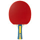 Ракетка для настільного тенісу Joola Team Master (52001)