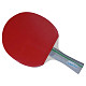 Ракетка для настільного тенісу Gewo Rave Action FL (860000001)
