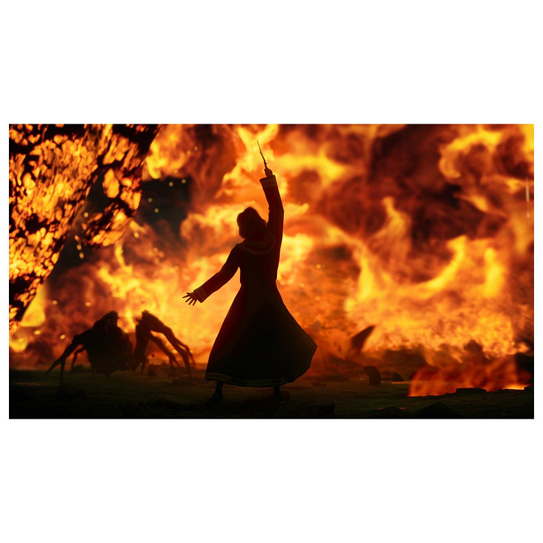 Гра консольна Switch Hogwarts Legacy