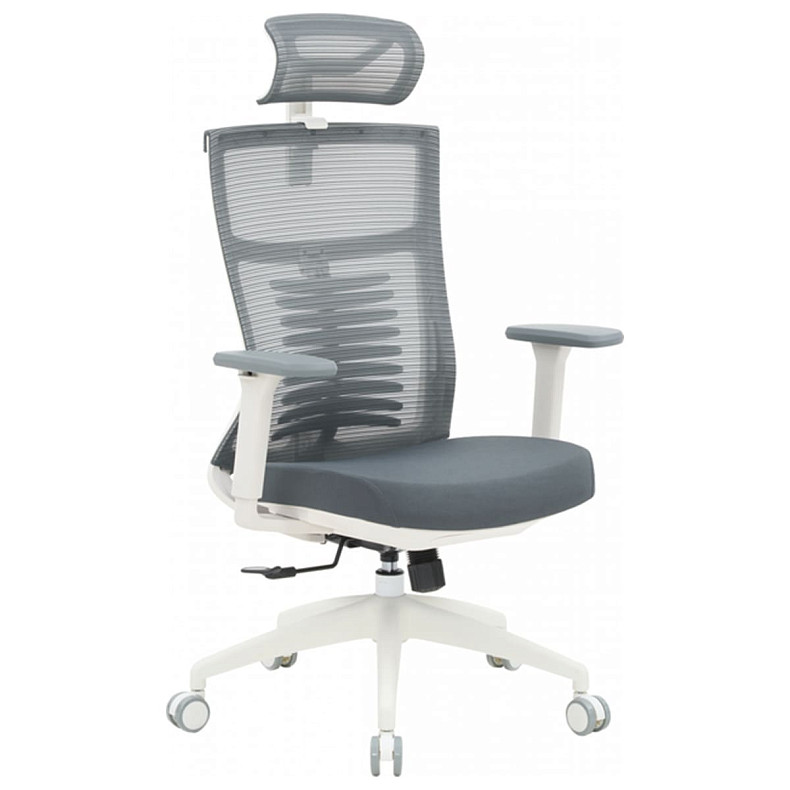 Офисное кресло OfficePro Balance OC550-W-DG-DG