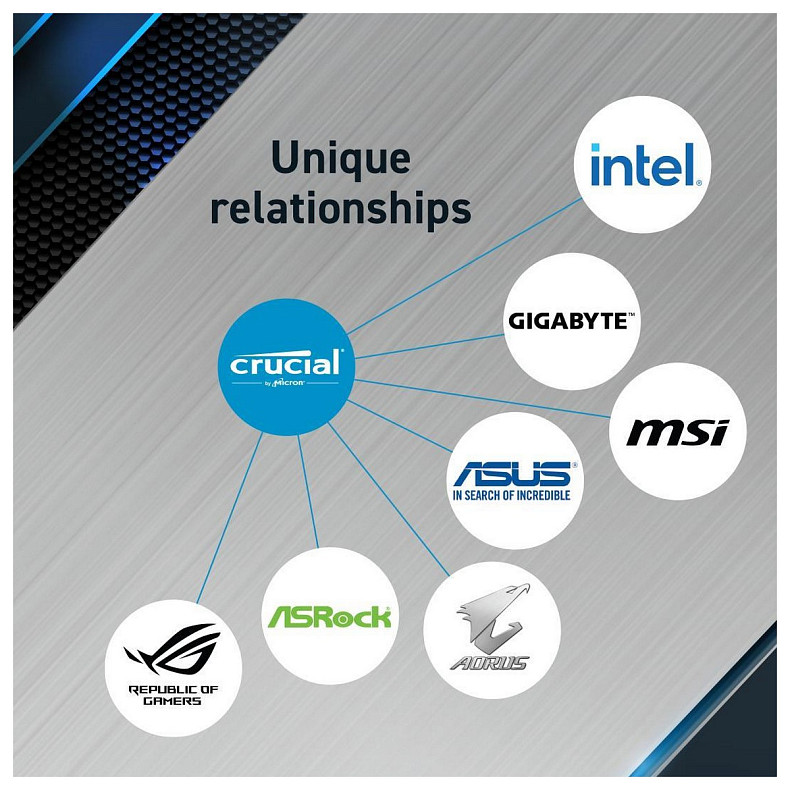 ОЗУ Crucial Pro DDR5 32GB/6000 (CP32G60C40U5BT)