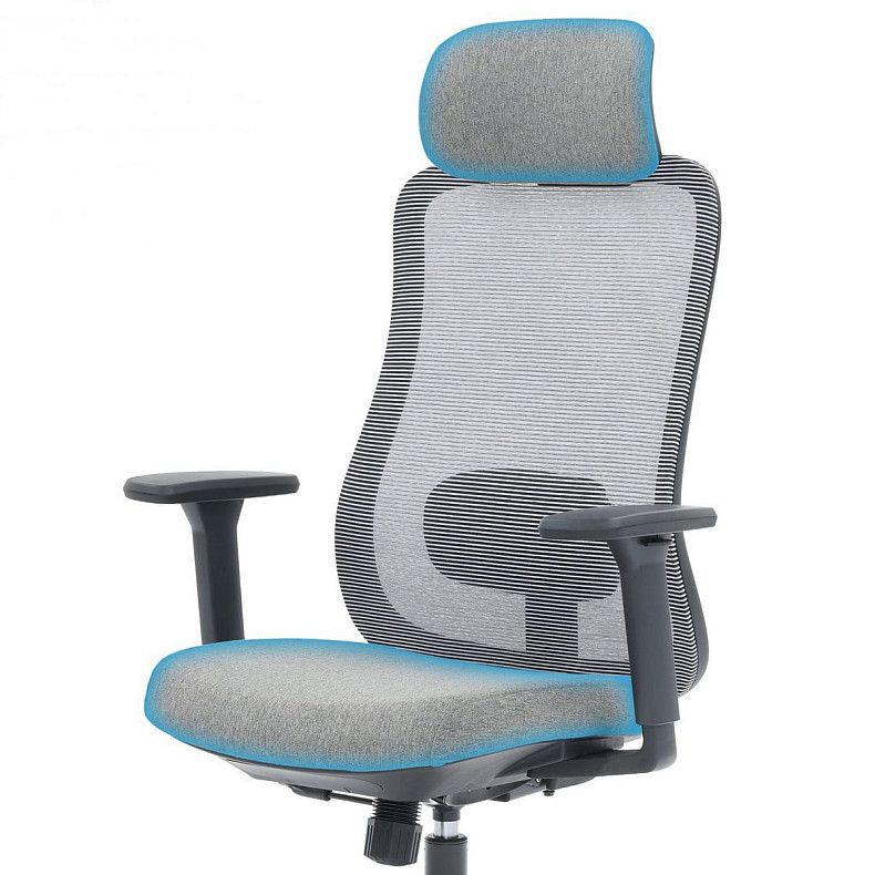 Крісло офісне OfficePro Wave OC599-B-DG-DG