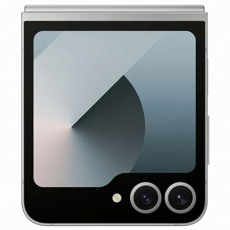 Смартфон Samsung Galaxy Flip6 SM-F741 256GB Silver Shadow (SM-F741BZSGSEK)