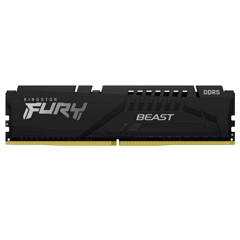 ОЗУ Kingston DDR5 16GB 6000 FURY Beast Black EXPO (KF560C36BBE-16)