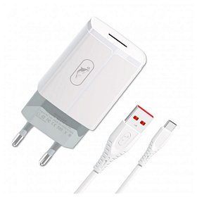 Сетевое зарядное устройство SkyDolphin SC06T (1USBx2.4A) White (MZP-000179) + кабель USB Type-C