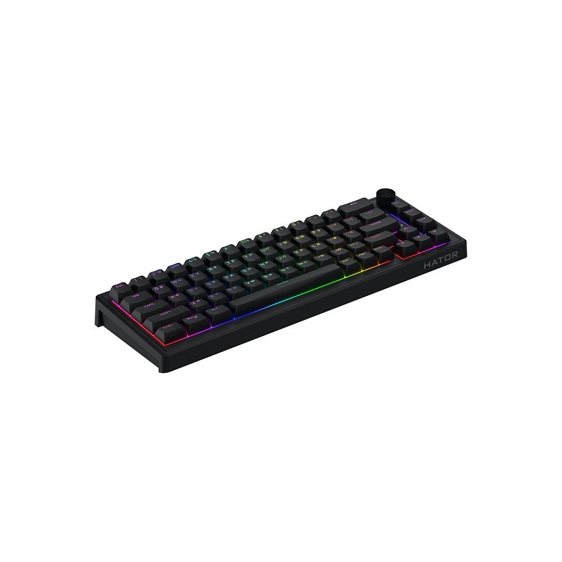 Клавиатура Hator Skyfall 65 Black/Black (HTK1160UA)