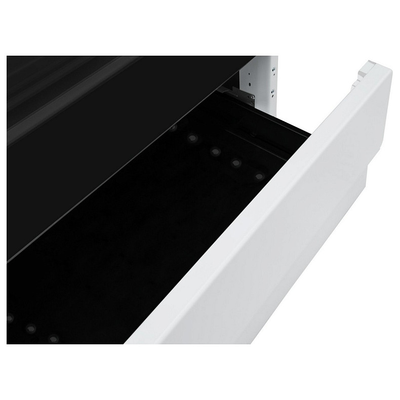 Кухонна плита Hansa FCMW59119