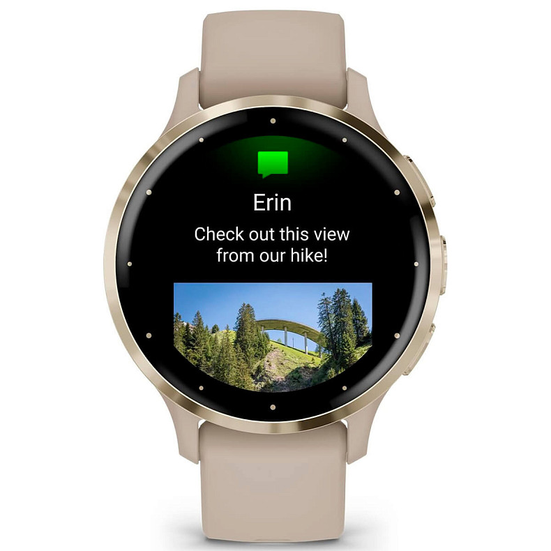 Спортивные часы GARMIN Venu 3s Soft Gold Stainless Steel Bezel with French Gray Case and Silicone Band