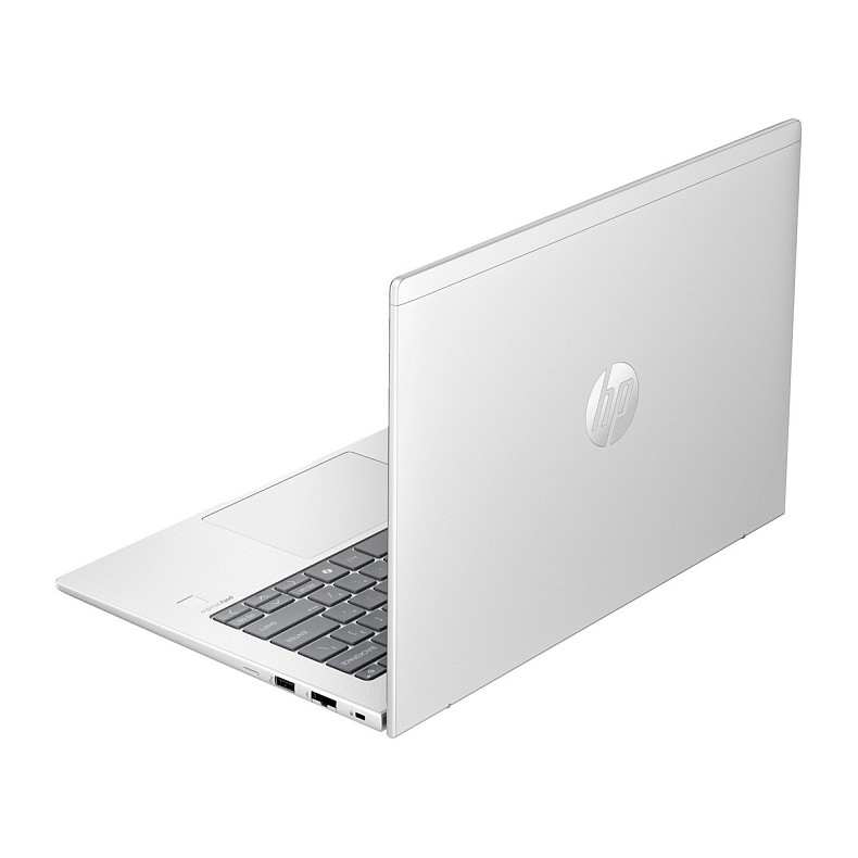 Ноутбук HP ProBook 445 G11 (8Z9P6AV_V1) Silver