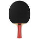 Ракетка для настільного тенісу Joola Team Junior (52004)