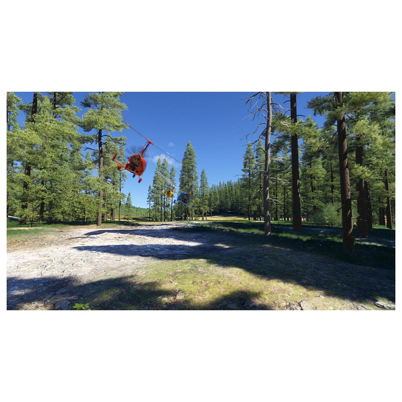 Игра консольная PS5 Microsoft Flight Simulator 2024