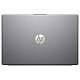 Ноутбук HP 250R G10 (CA0S3AT) Silver
