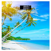 Весы напольные BROCK BS 001