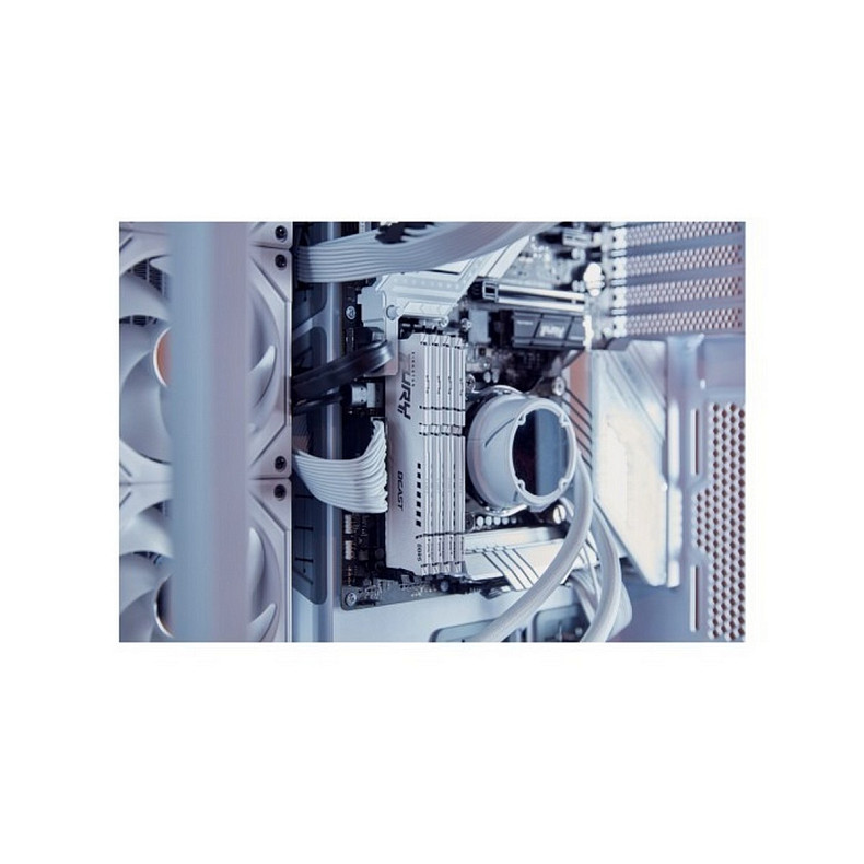 ОЗУ Kingston Fury Beast White DDR5 32GB/6000 (KF560C36BWE-32)