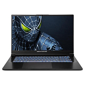 Ноутбук Dream Machines RG5050-17 17.3FHD IPS, Intel i9-14900HX, 32GB, F2TB, NVD5050-8, DOS, черный