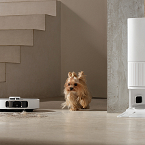 Робот-пилосос для квартири з тваринами: який вибрати?