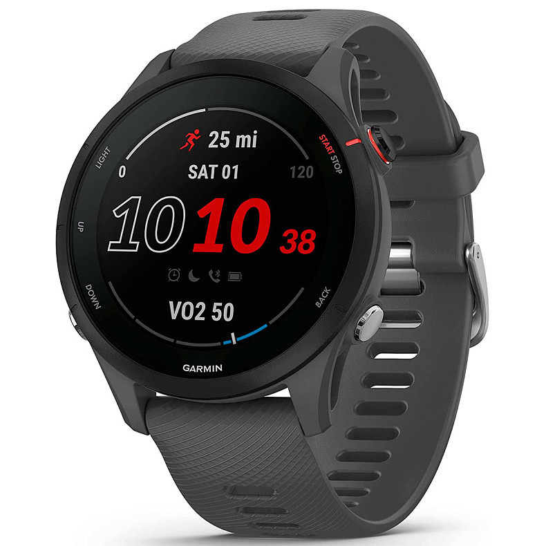 Спортивний годинник Garmin Forerunner 255 Slate