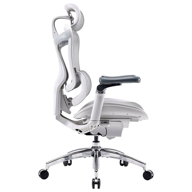 Крісло офісне Sihoo DORO C300 Pro Mesh White