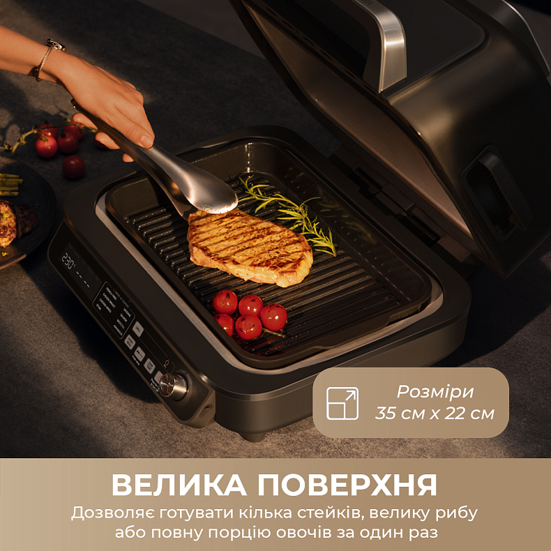 Гриль-мультипіч MOVA IG20 PRO Black