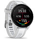 Спортивний годинник GARMIN Forerunner 165 Mist Gray/Whitestone