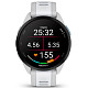 Спортивные часы GARMIN Forerunner 165 Music Mist Gray/Whitestone