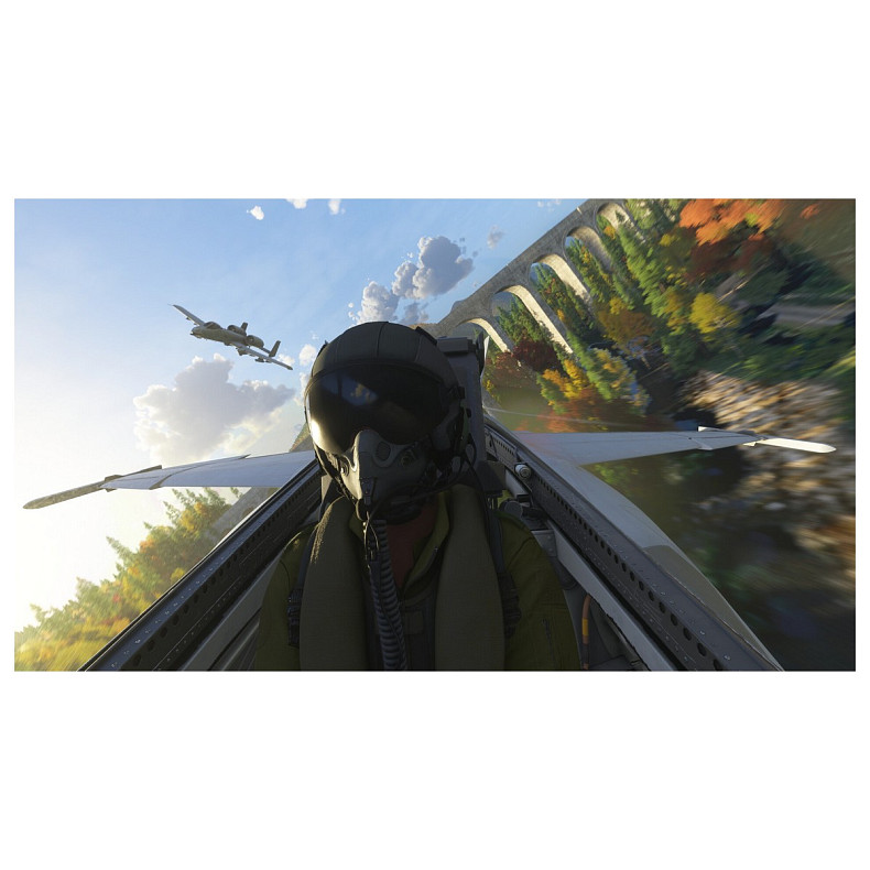 Игра консольная PS5 Microsoft Flight Simulator 2024