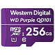 Карта памяти WESTERN DIGITAL MICRO SDXC 256GB UHS-I WDD256G1P0C