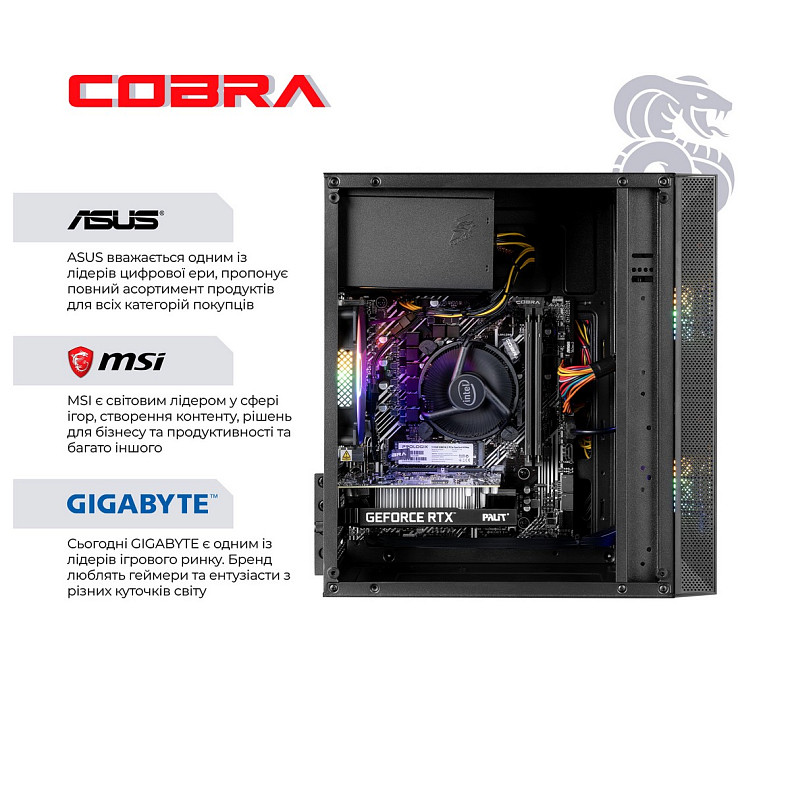 Персональный компьютер COBRA Advanced (I114F.16.S10.36.19812)