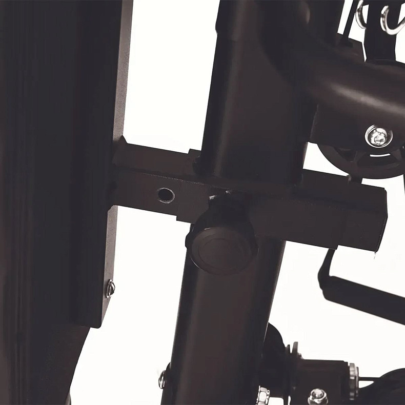 Мультистанція Toorx Multifunction Station MSX 300 (MSX-300)