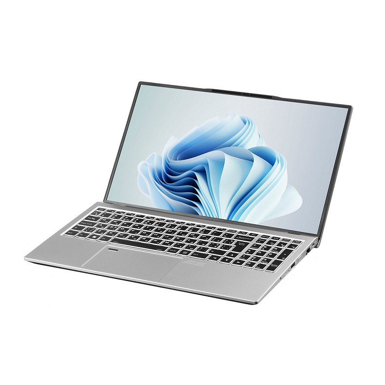 Ноутбук 2E Complex Pro 15 Silver (NS51PU-15UA31)