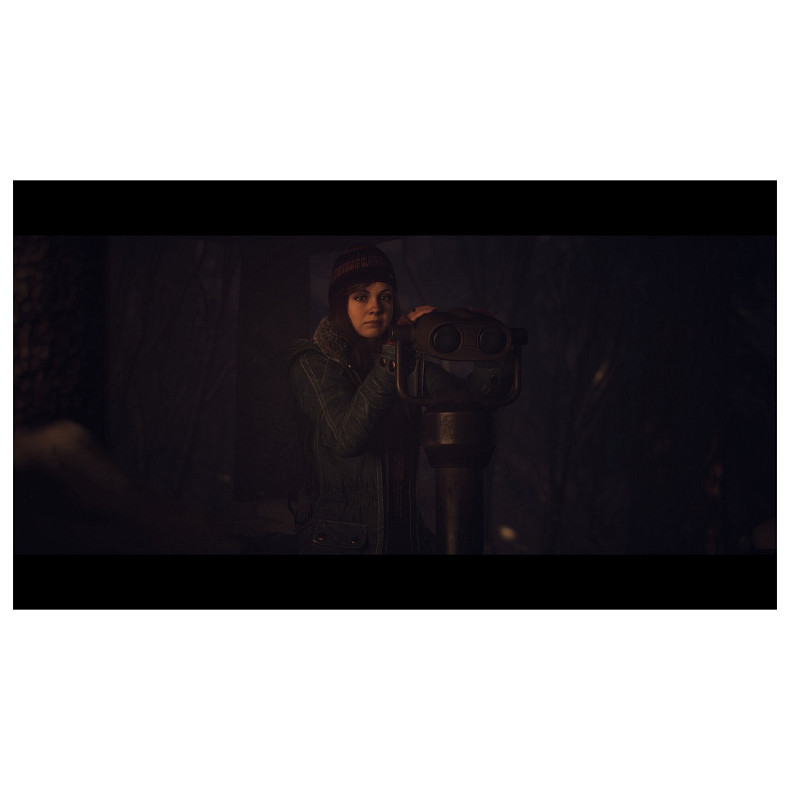 Гра консольна PS5 UNTIL DAWN