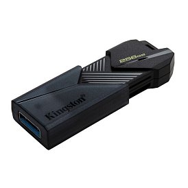 Флеш-накопитель Kingston DataTraveler Exodia Onyx 256GB USB 3.2 Gen 1 (DTXON/256GB)