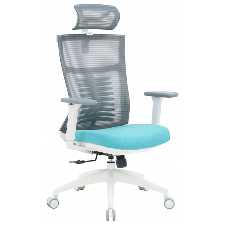 Офисное кресло OfficePro Balance OC550-W-DG-BL