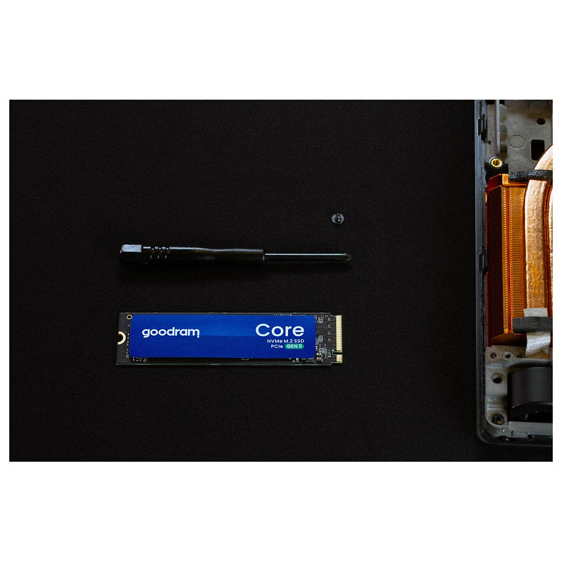 SSD диск Goodram Core M.2 2280 PCIe 5.0 x4 NVMe 1TB (SSDR-GRC01-1K0-80)