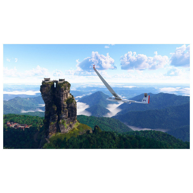 Игра консольная PS5 Microsoft Flight Simulator 2024
