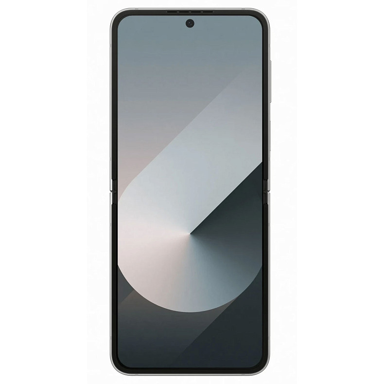 Смартфон Samsung Galaxy Flip6 SM-F741 256GB Silver Shadow (SM-F741BZSGSEK)