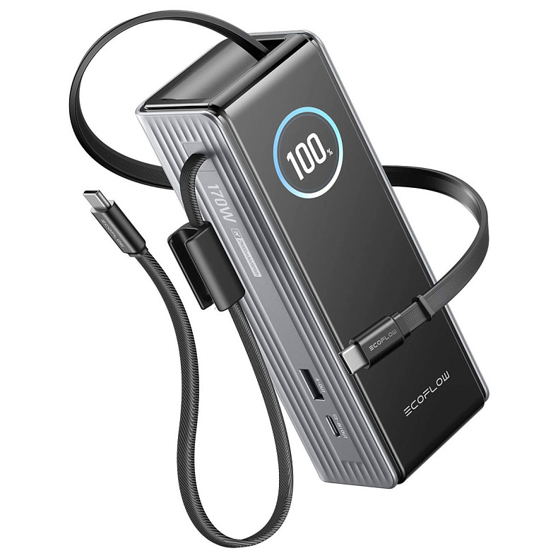 Павербанк EcoFlow RAPID Power Bank с кабелями 25000mAh серебристый