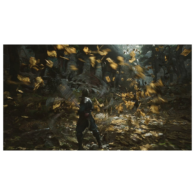 Игра консольная PS5 Black Myth: Wukong