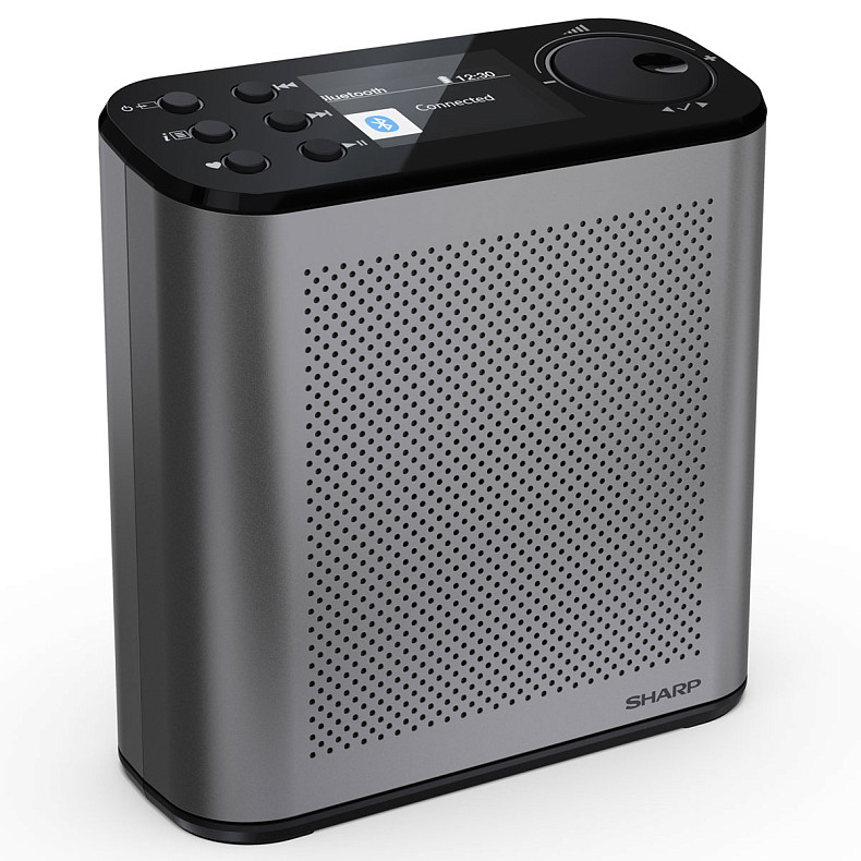 Радиоприемник Sharp DR-P530 Grey